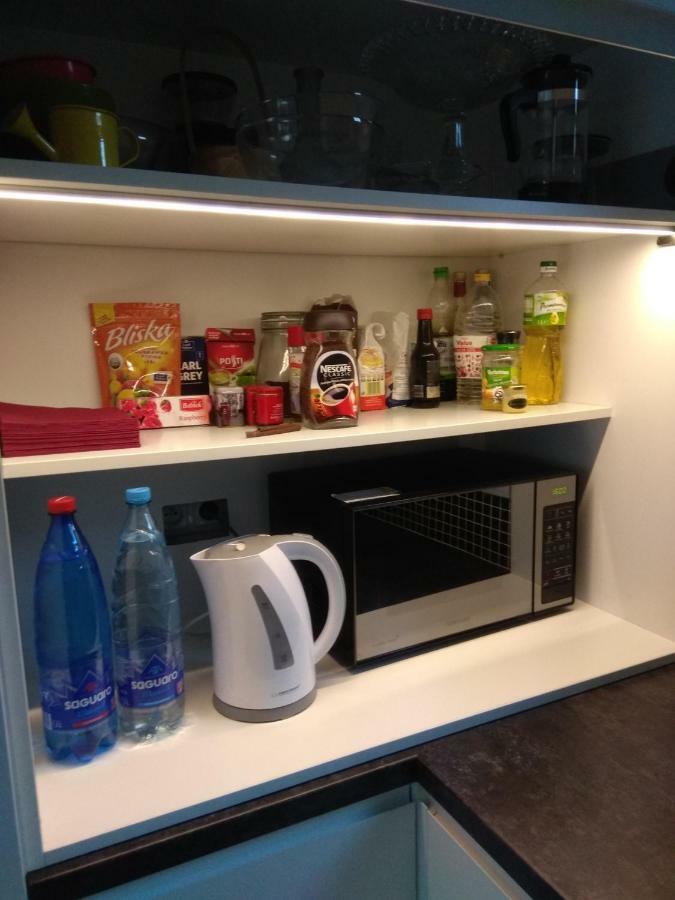 Luxury Apartment With Own Parking Chorzów Dış mekan fotoğraf